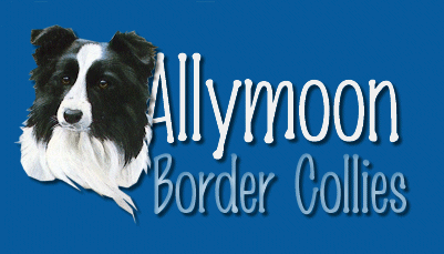 allymoon logo